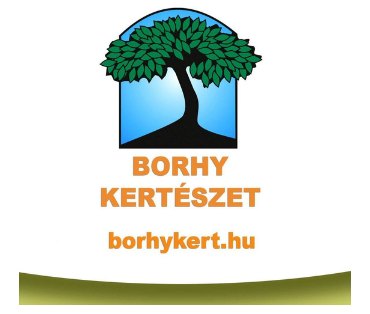 Borhykertészet